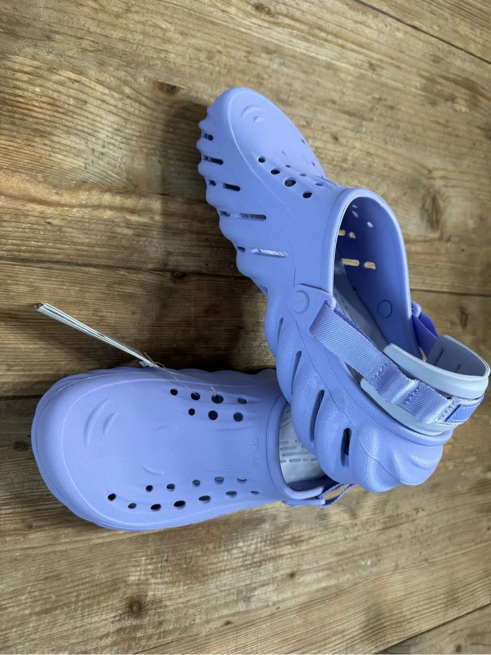 CROCS echo collection